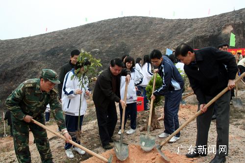 广东博罗县军民罗浮山下携手种英雄树