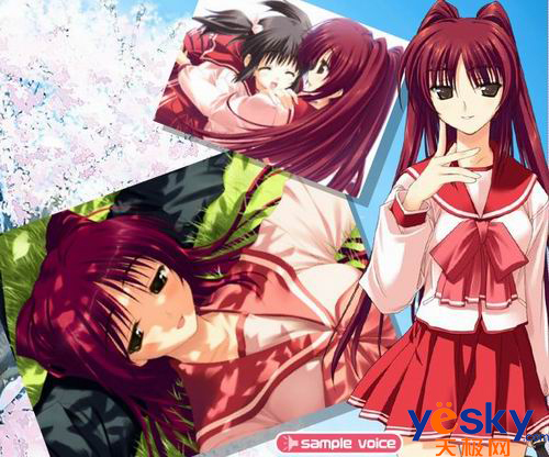 日本姐大赏揭晓,环姐两年后再度加冕--广东新