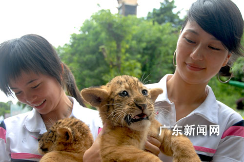 深圳野生动物园四大优惠活动庆祝三八节