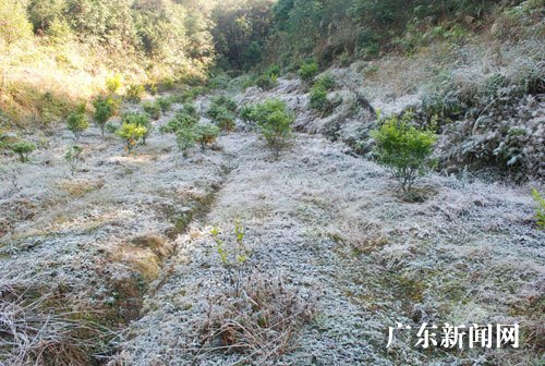 广东省龙门县面积人口_广东省龙门县交通地图
