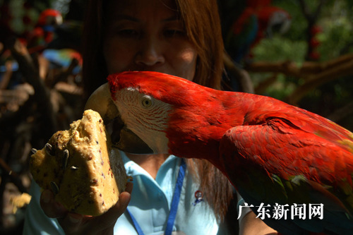 U184P13T2D117213F44DT20110607220110.jpg