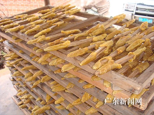 查获的假花胶鱼翅干制水产品