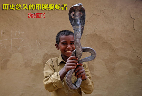 印度人崇拜蛇,视蛇为"神"的化身,而眼镜蛇尤受崇敬,被称"善蛇".