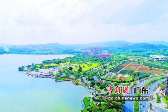 景)(色)(秀)(丽)(的)(增)(城)(荔)(湖)(。增)(宣)( 供)(图)(