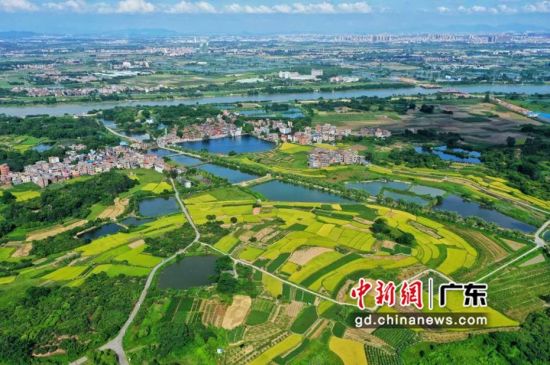 落实五级书记抓乡村振兴,充分发挥基层党(工)委"一线指挥部"和农村党