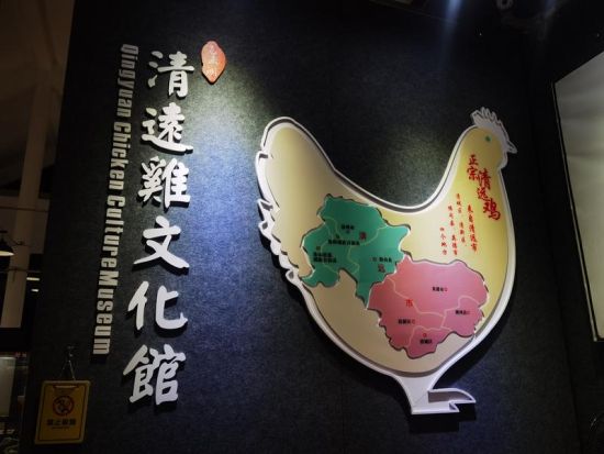 清远鸡文化馆解锁了关于清远鸡的许多秘密。