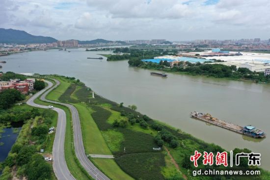 岸堤翠绿的顺德水道。通讯员 供图 岸堤翠绿的顺德水道。通讯员 供图