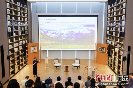 沙龙现场。主办方供图 沙龙现场。主办方供图