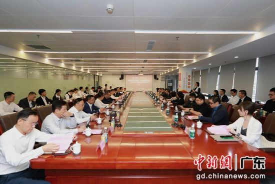 交流座谈。广药集团 供图 交流座谈。广药集团 供图