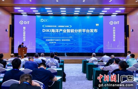 DIKI�����ҵ���ܷ���ƽ̨������ ���췽��ͼ