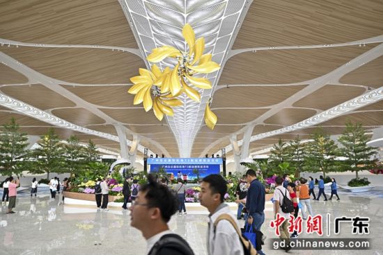 航站楼投入运行。记者 陈骥旻 摄 航站楼投入运行。记者 陈骥旻 摄