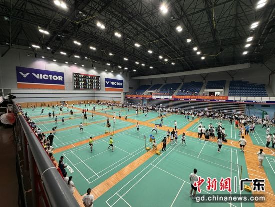 广州地区法学法律界2025年迎全运运动会。方伟彬 摄 广州地区法学法律界2025年迎全运运动会。方伟彬 摄