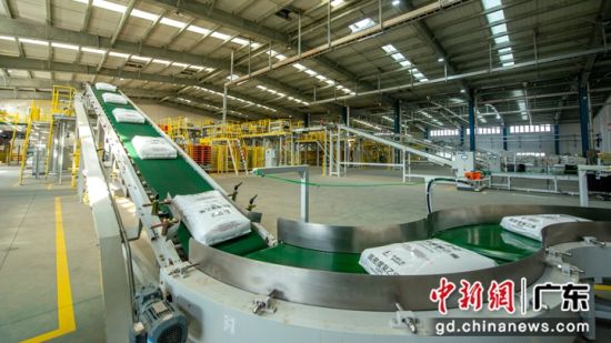 聚烯烃产品全自动包装线。 林江海 摄 聚烯烃产品全自动包装线。 林江海 摄