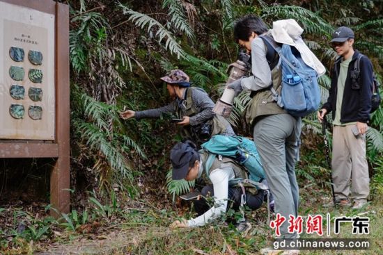 队伍开展自然观察竞赛。广东象头山国家级自然保护区管理局 供图 队伍开展自然观察竞赛。广东象头山国家级自然保护区管理局 供图
