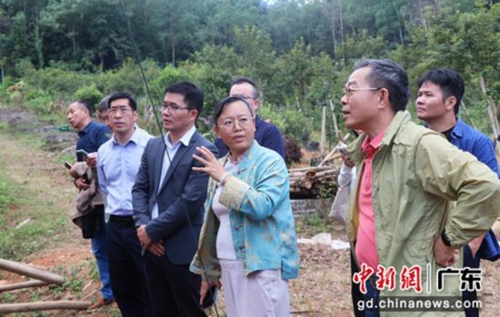 图为专家团队深入企业调研。 (广东农村政策研究中心 供图) 图为专家团队深入企业调研。 (广东农村政策研究中心 供图)