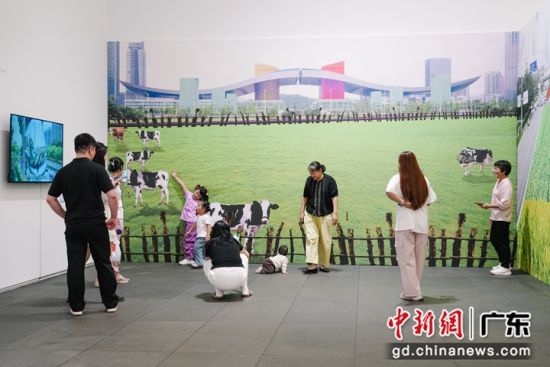 观众观展。主办方供图 观众观展。主办方供图