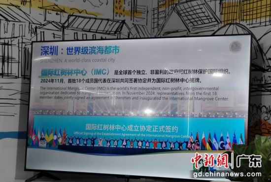 “蓝碳驱动·红树共兴”中国深圳专场一角。主办方供图 “蓝碳驱动·红树共兴”中国深圳专场一角。主办方供图