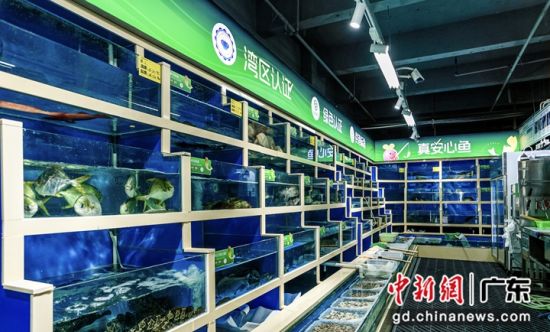 ����������氲�����̡������ꡣ���췽��ͼ