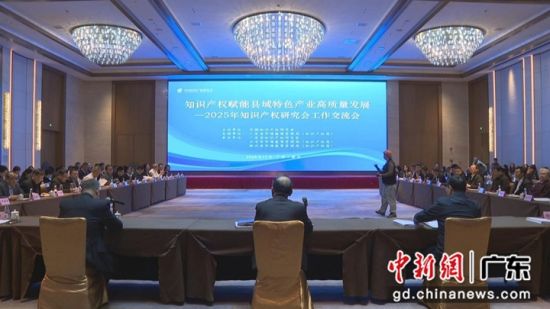 会议现场。主办方供图 会议现场。主办方供图