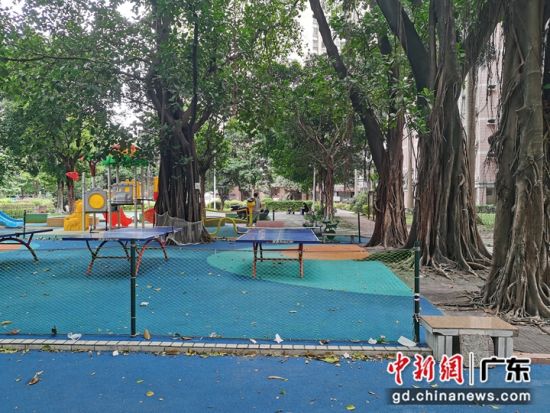 改造后的小广场。汇侨北社区供图 改造后的小广场。汇侨北社区供图