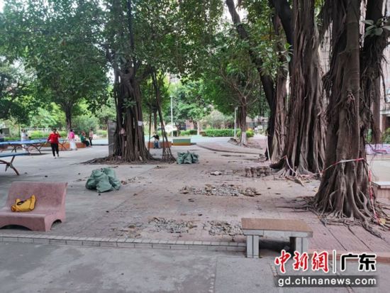 改造前的小广场。汇侨北社区供图 改造前的小广场。汇侨北社区供图