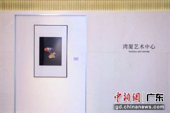 Endlessޱ֮硱ֳ췽ͼ