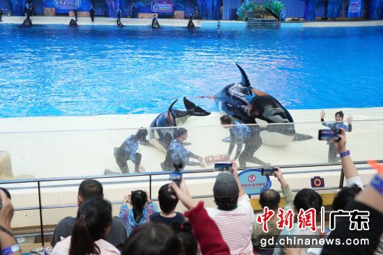 ԱΪ¡Ƶյ⡣¡ɴ԰ ͼ