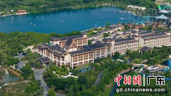 广州森林海度假区。受访方 供图 广州森林海度假区。受访方 供图