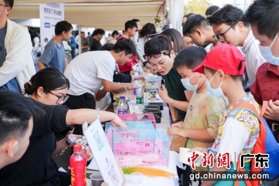 第十九届华南(广州)宠物嘉年华吸现场。华南农业大学供图 第十九届华南(广州)宠物嘉年华吸现场。华南农业大学供图