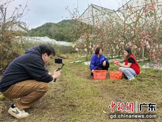 ��ũֱ���Ŷ��ڹ��ݳ�˳ʯ���ƻ��԰¼�ƹ�԰ʵ������������