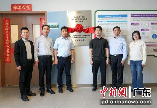 �����ֳ���ͨѶԱ ��ͼ