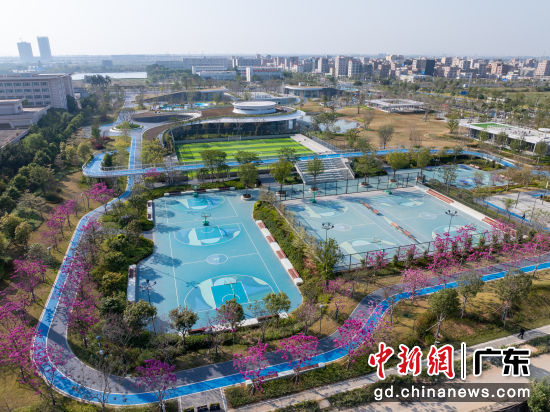 ������������԰���������Ű� ��ͼ