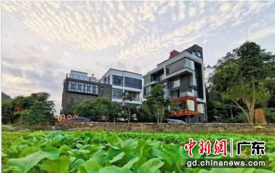 �㶫ʡ���޼�������ޡ����﹩ͼ