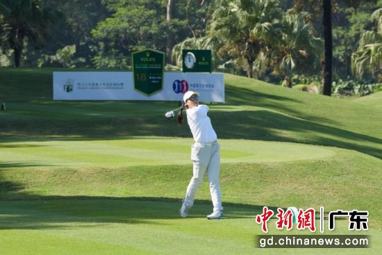 ������ڱ����С�������ί�ṩͼ