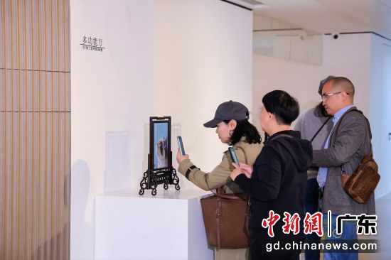 观众赏“猫”。主办方供图 观众赏“猫”。主办方供图