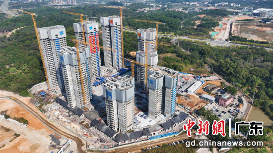 �����Ƭ���д������Ŀ�������÷�����ṹȫ��ⶥ����� ��