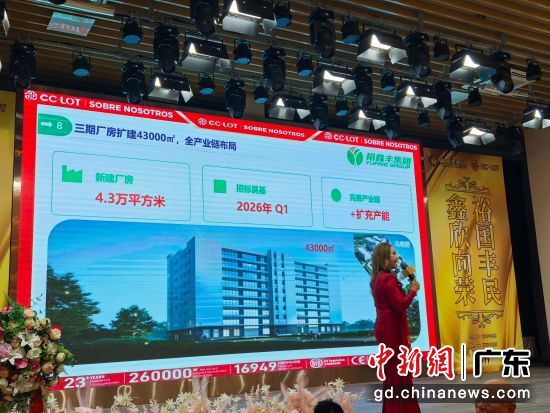 ��ԣ�����ܼ���2026��滮������ ��