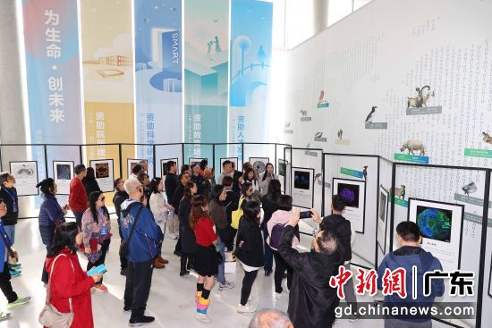 活动现场。紫大轩 摄 活动现场。紫大轩 摄