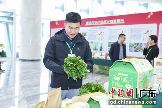 ��ֳ��� ���췽 ��ͼ