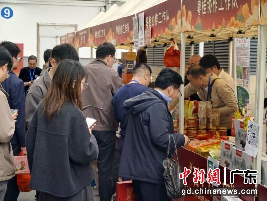 活动现场。主办方 供图 活动现场。主办方 供图