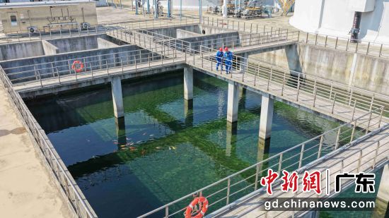 �����ڴ�����Ĺ�ҵ��ˮ�г��Ρ�Ԭ�Һ� ��