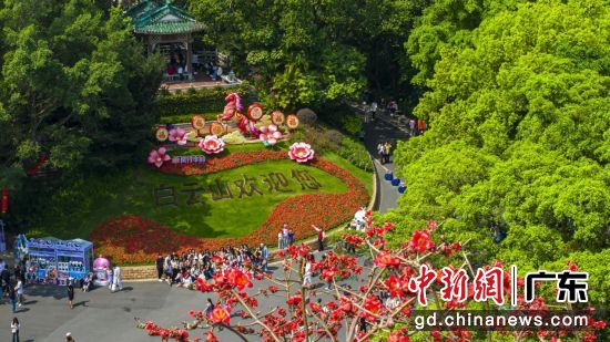 白云山红棉绽放。广州市林业和园林局 供图 白云山红棉绽放。广州市林业和园林局 供图