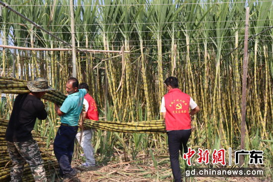 助农现场。通讯员 供图 助农现场。通讯员 供图