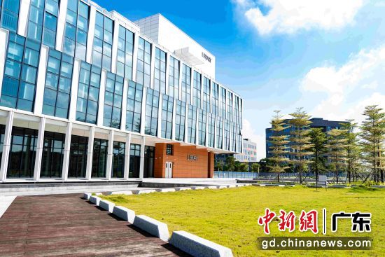 广东以色列理工学院校园一角。通讯员供图 广东以色列理工学院校园一角。通讯员供图