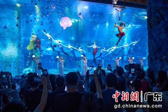 演出现场。正佳极地海洋世界 供图 演出现场。正佳极地海洋世界 供图