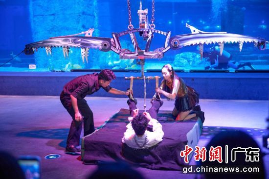 魔术表演。主办方 供图 魔术表演。主办方 供图