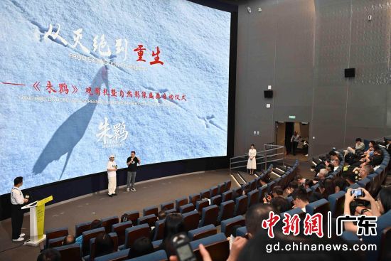 观影礼现场。彭程 摄 观影礼现场。彭程 摄