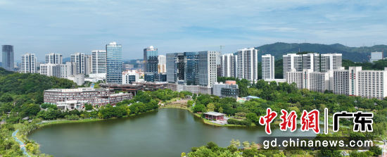 广州黄埔区。李剑锋 摄 广州黄埔区。李剑锋 摄