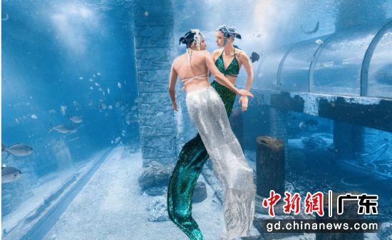 水下演出。受访方 供图 水下演出。受访方 供图