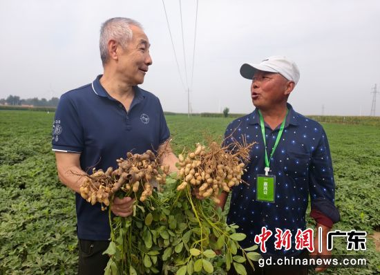 汪建与大名县农户在示范田交流。华大供图 汪建与大名县农户在示范田交流。华大供图